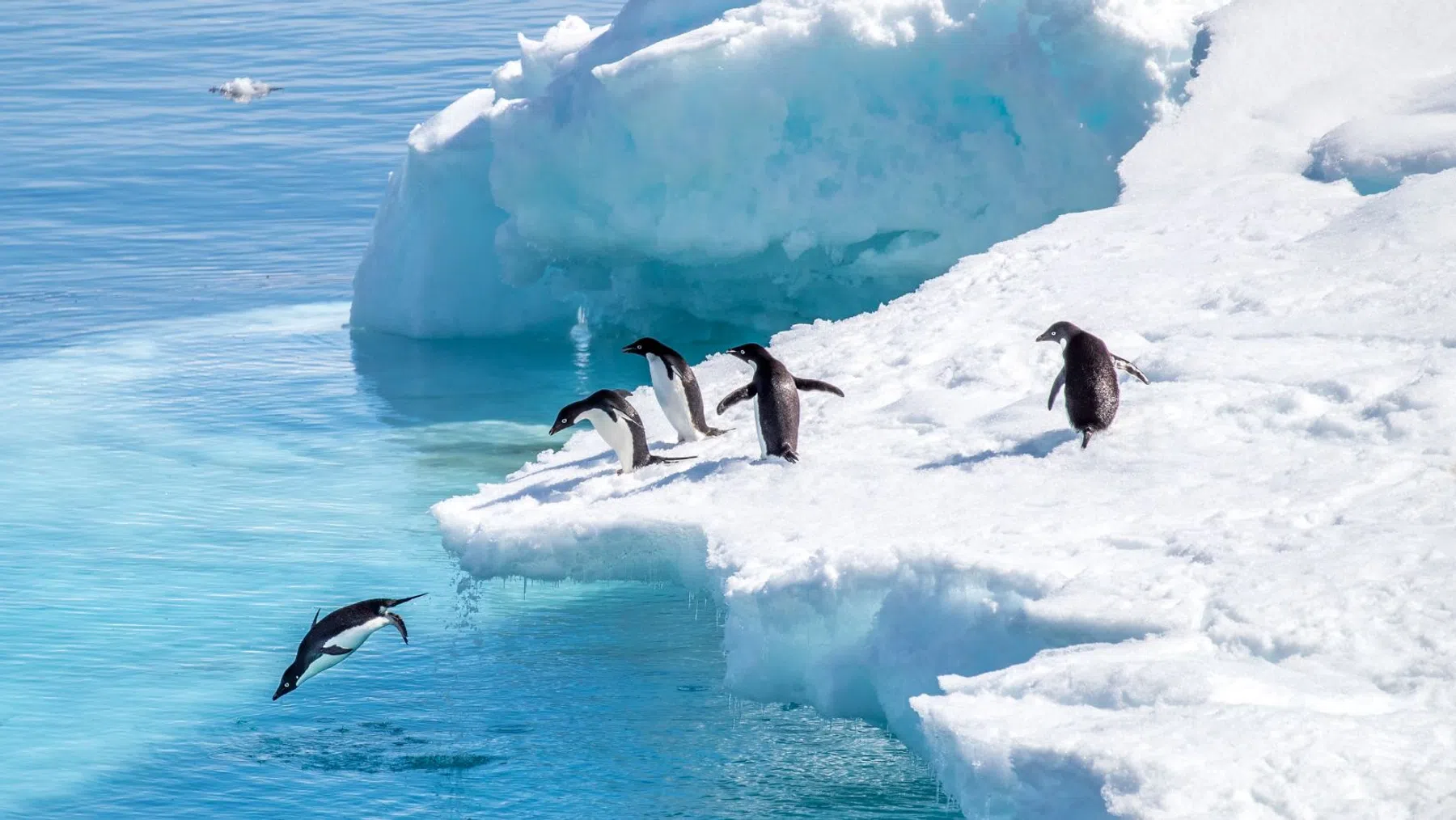 Onderwaterrobot laat zien dat Antarctica op de maan lijkt