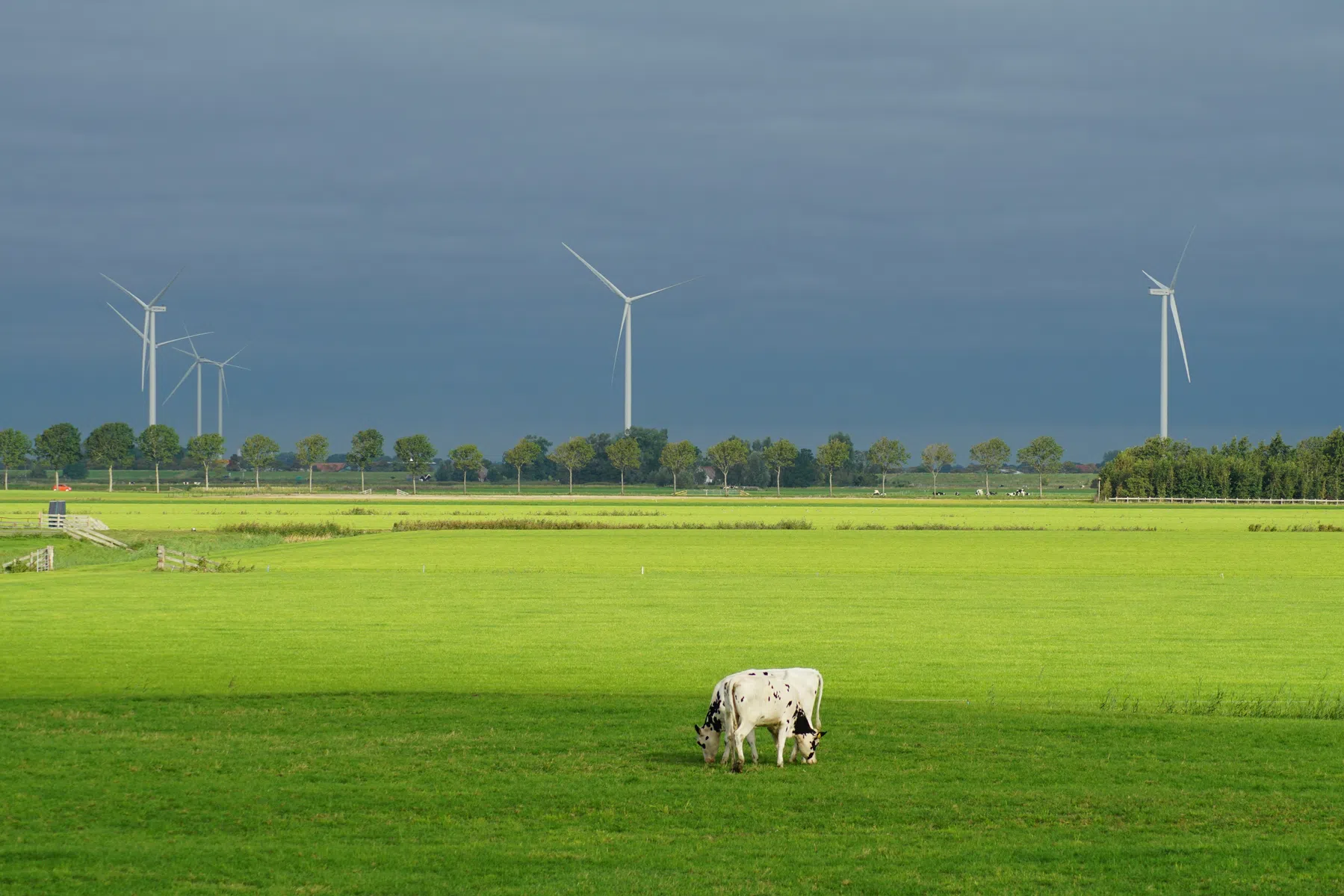 Elektriciteit voor 500.000 auto's bleef ongebruikt door te weinig vraag