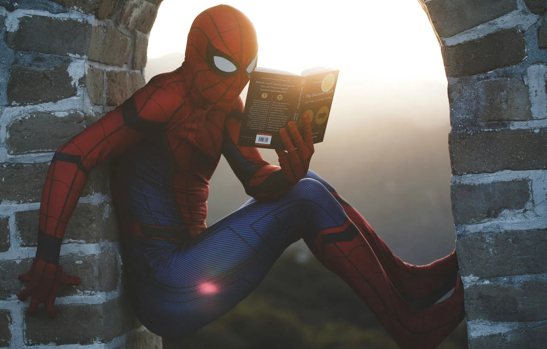 Spider-Man in het echt: webshooters dragen tot 80 keer eigen gewicht