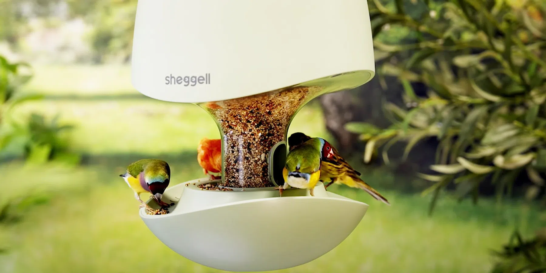 Vogels missen niets in dit high-tech vogelhuisje