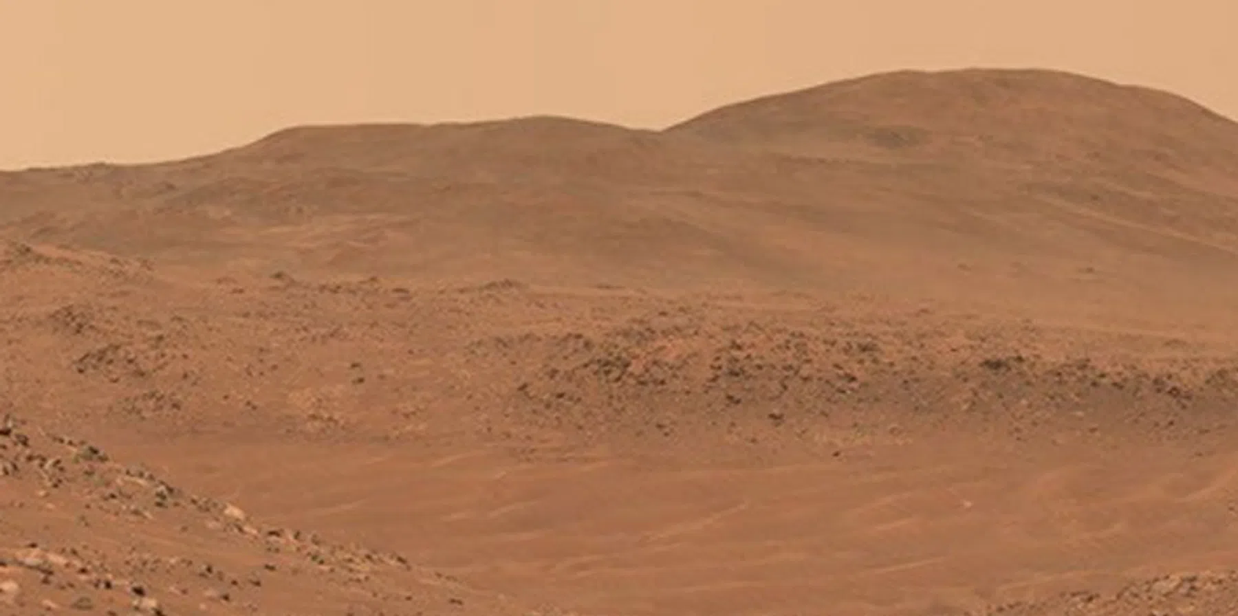 Heeft NASA per ongeluk leven op Mars gedood?