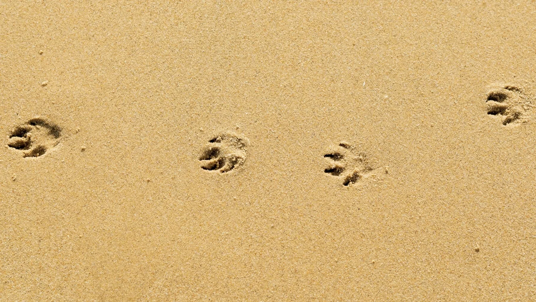 ©Unsplash