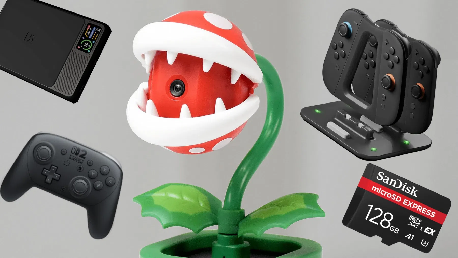 ©Nintendo/Genki/SanDisk