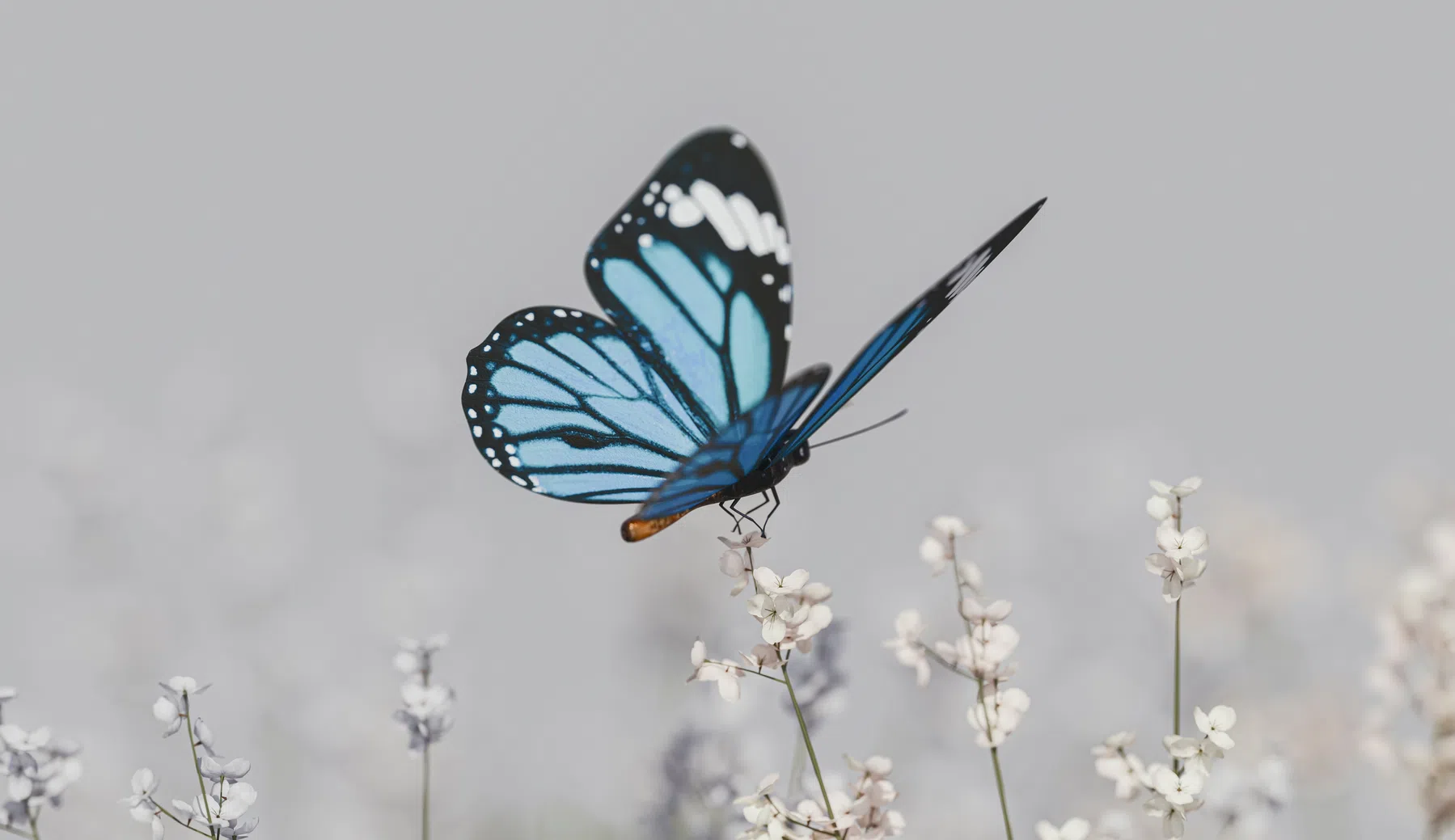 ©Unsplash