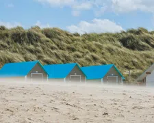 Thumbnail for article: We gebruiken veel meer duurzame energie, met dank aan zeewind