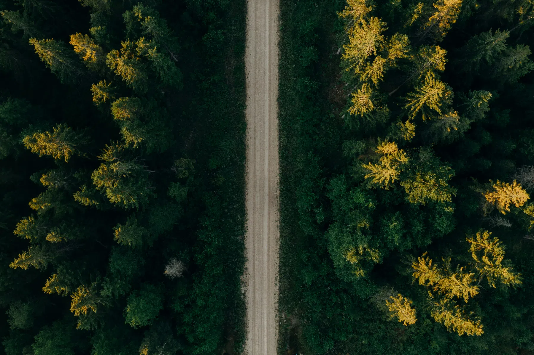 Unsplash