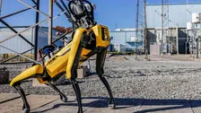 Thumbnail for article: Hongkong laat robot-honden los op gevaarlijke muggenplaag