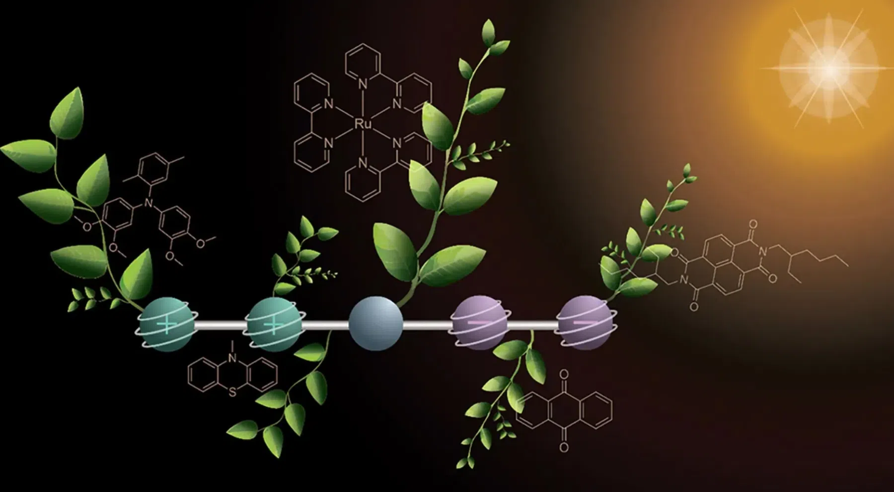 © Deyanira Geisnæs Schaad