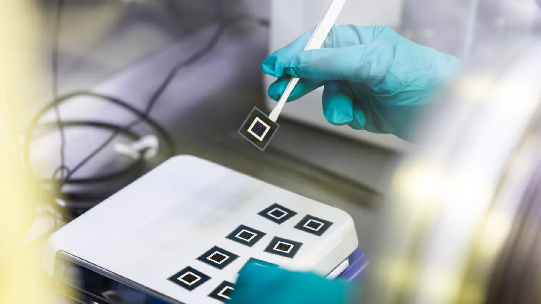 © Universiteit van Freiburg / Silvia Wolf