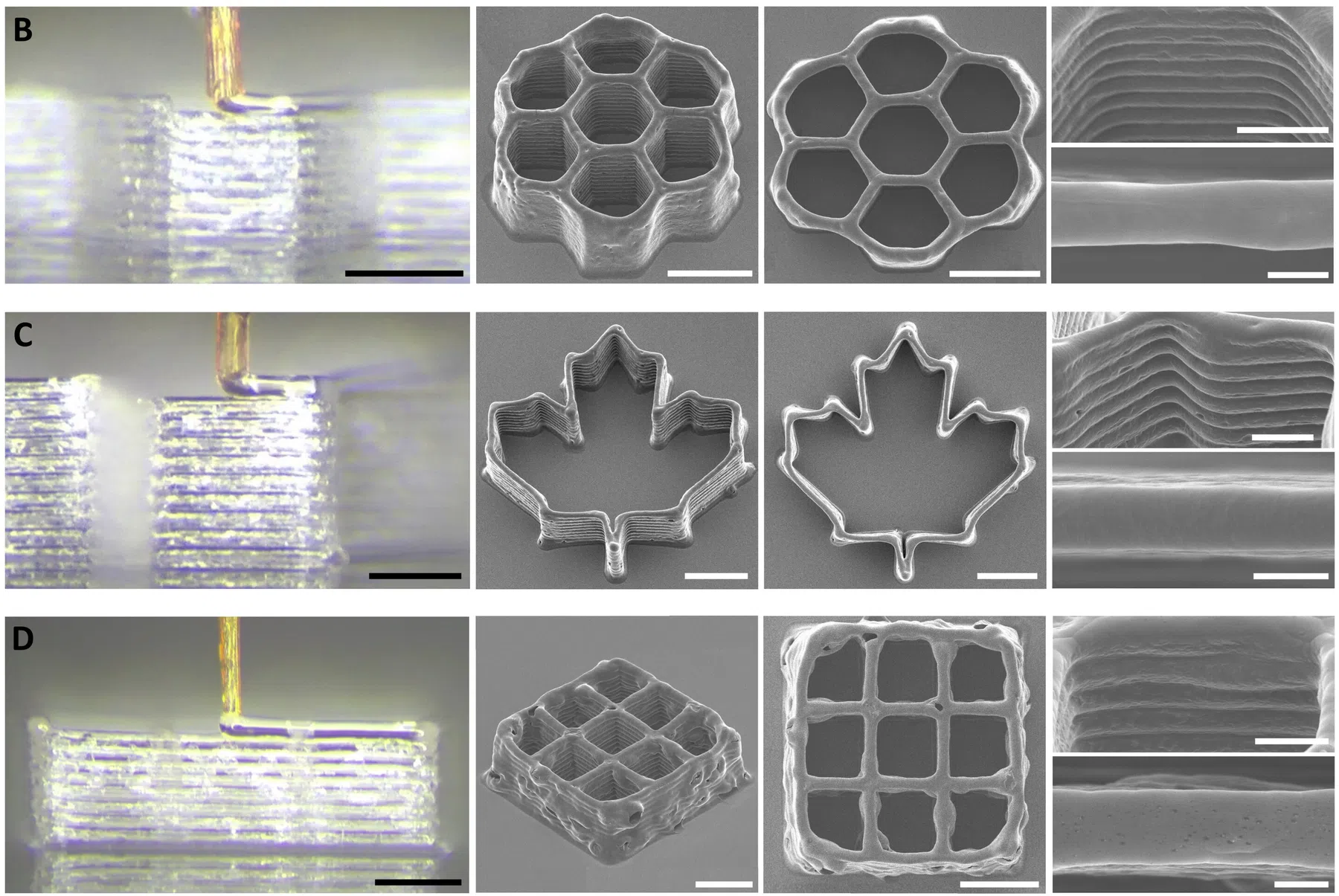 © Science Advances (2025). DOI: 10.1126/sciadv.adw9953
