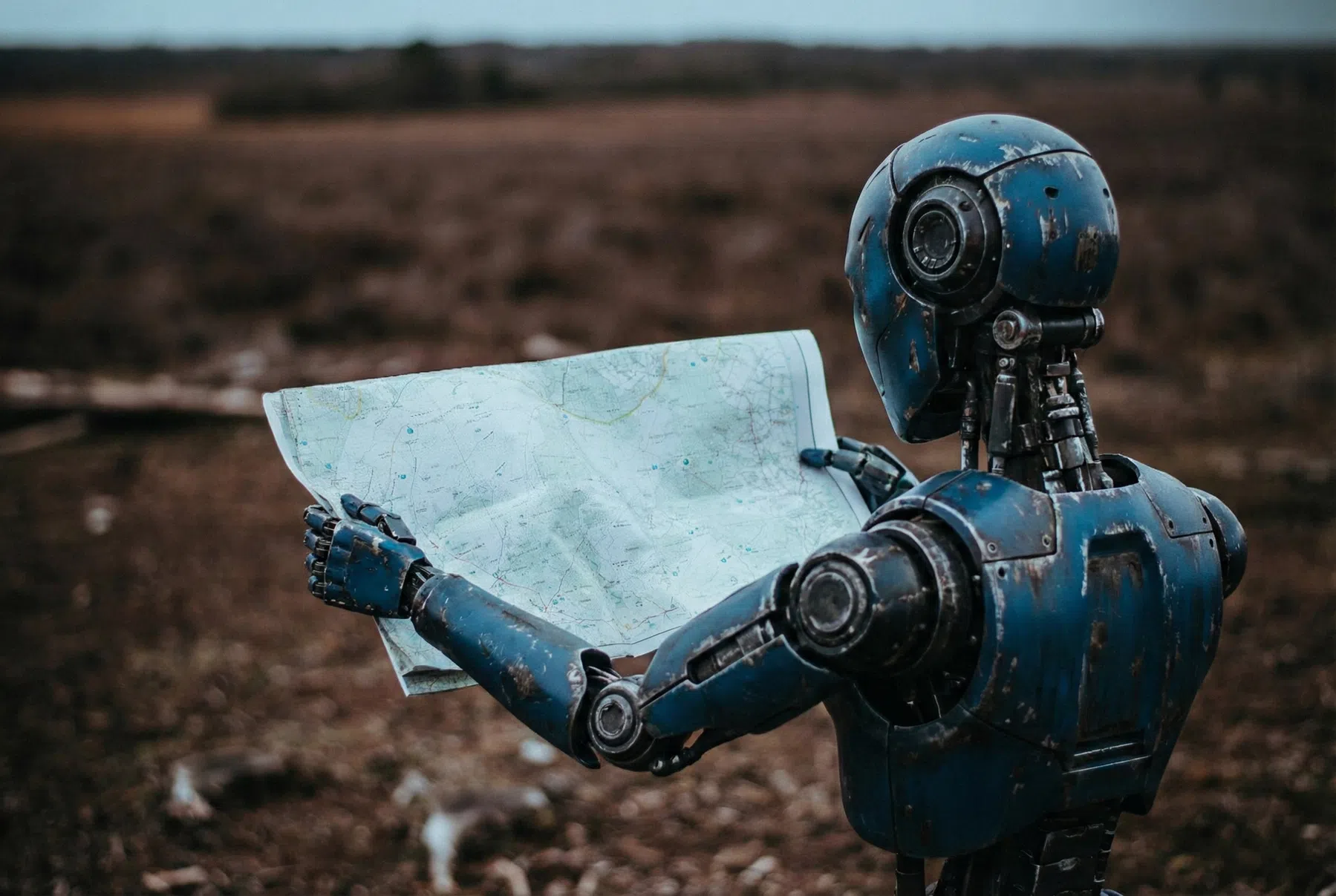 © Unsplash / Bright