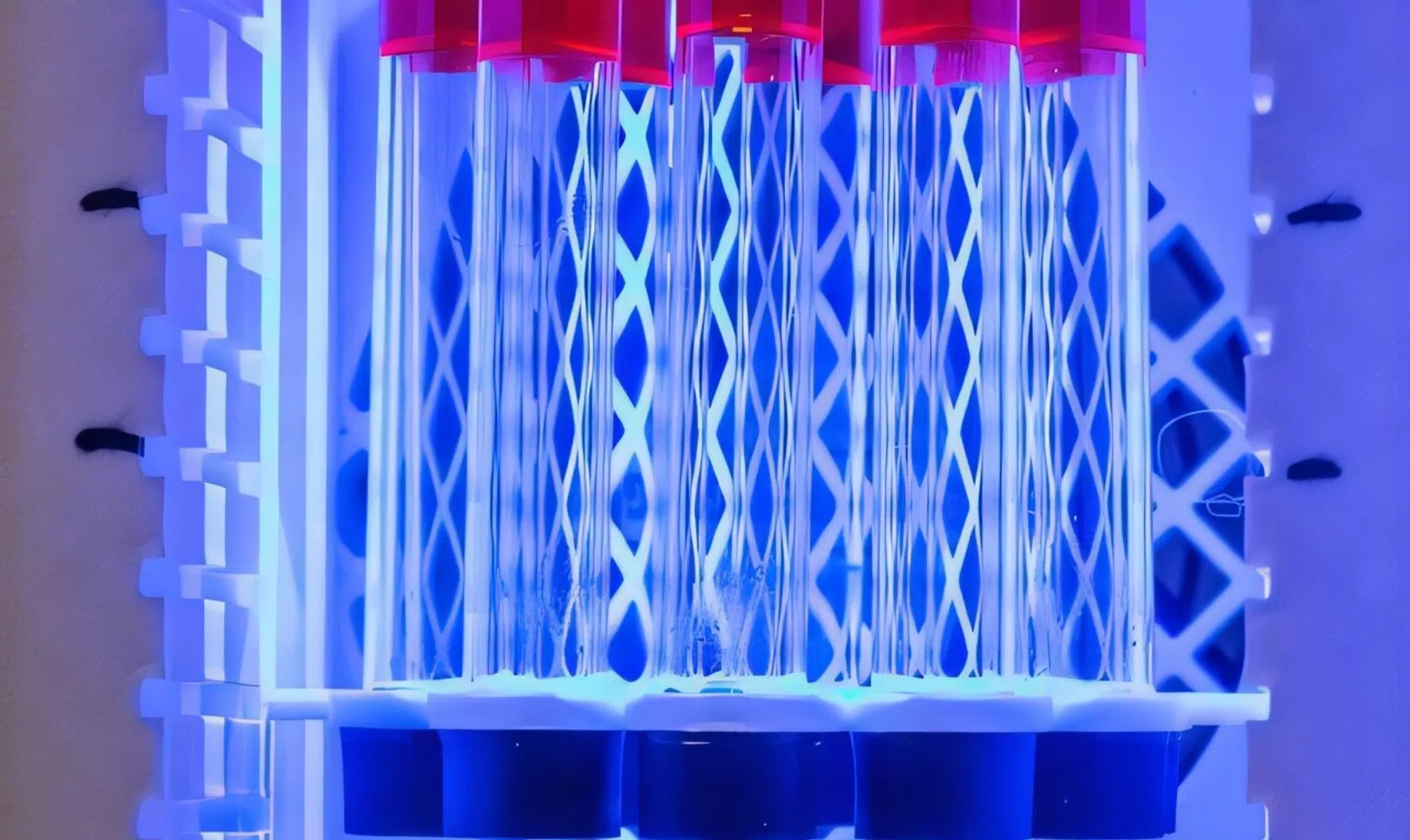 © Elvira Eberhardt, Ulm University