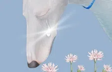 Thumbnail for article: Dit boek is het eerste boek dat door AI nooit zal verschijnen