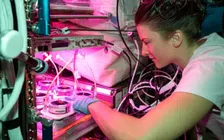 Thumbnail for article: NASA wil commerciële ruimtestations toelaten, maar ook weer niet