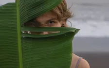 Thumbnail for article: Instagram introduceert een betaald abonnement voor stiekemerds