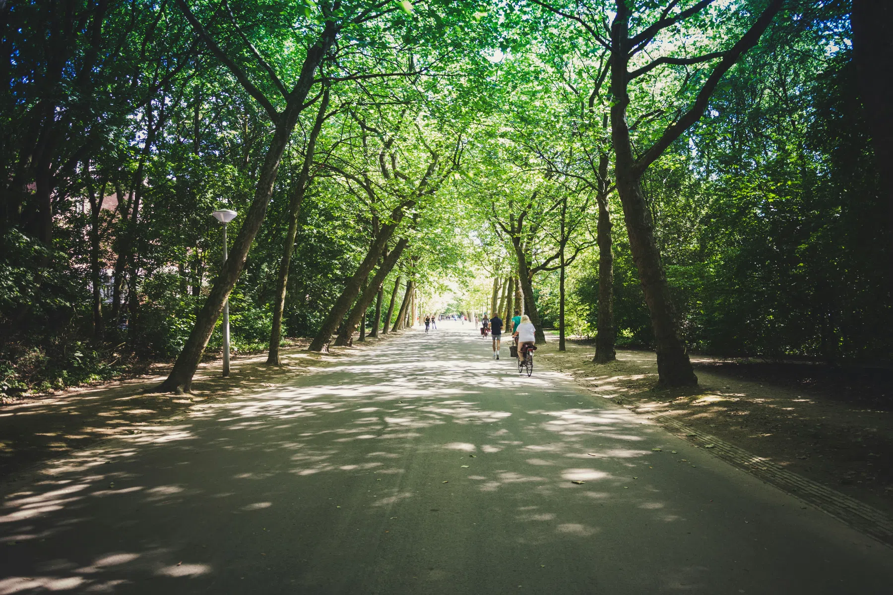 ©Unsplash