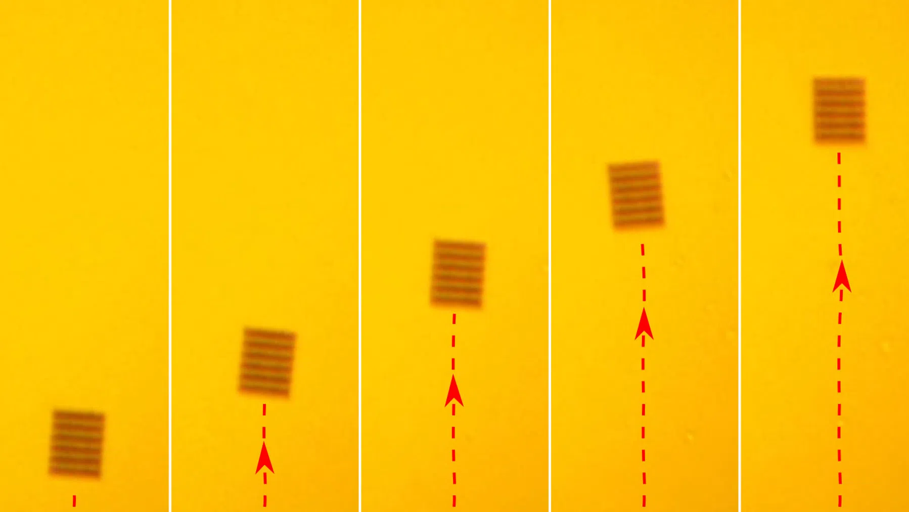 © Dr. Shoufeng Lan