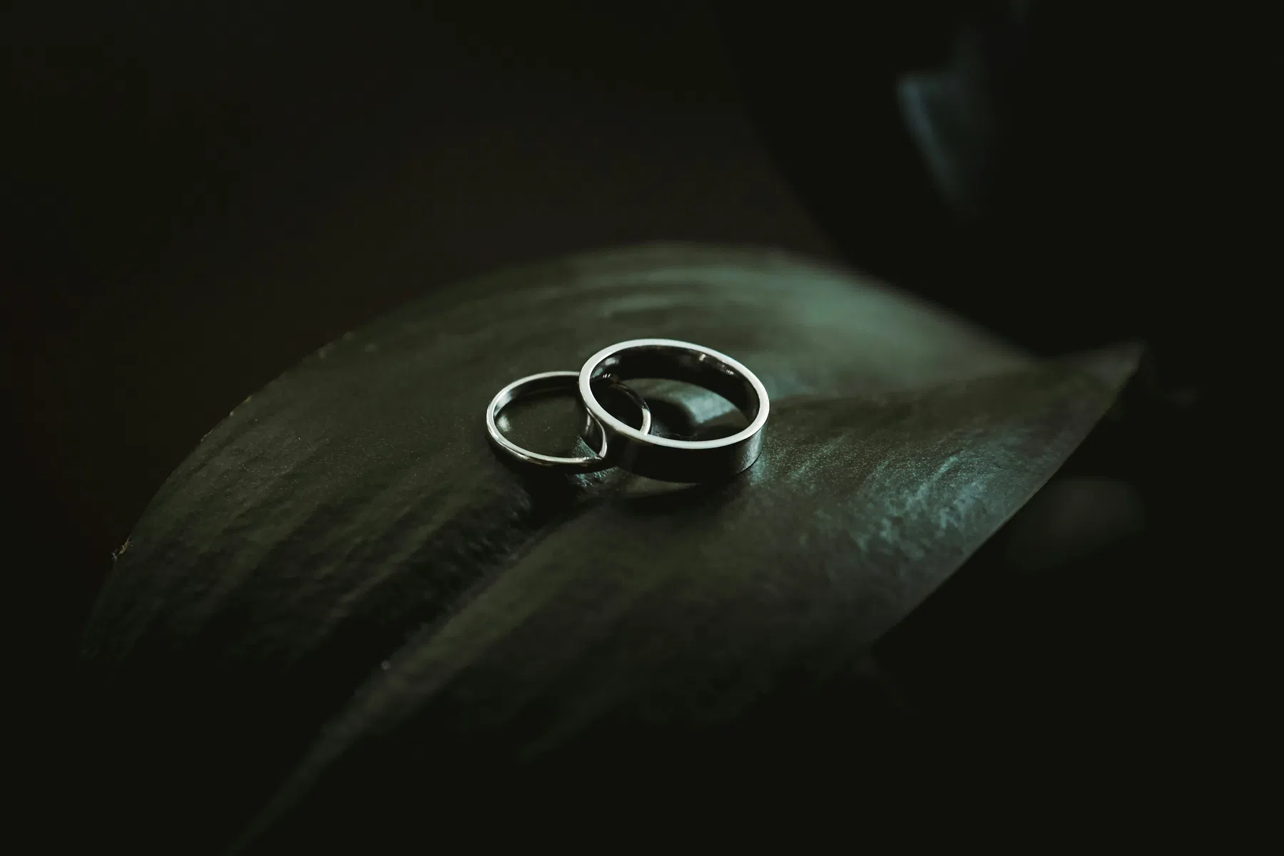 Unsplash 