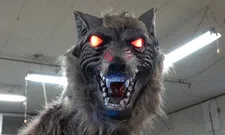 Deze Japanse robot-wolf verkoopt als een malle en dat is niet zonder reden 