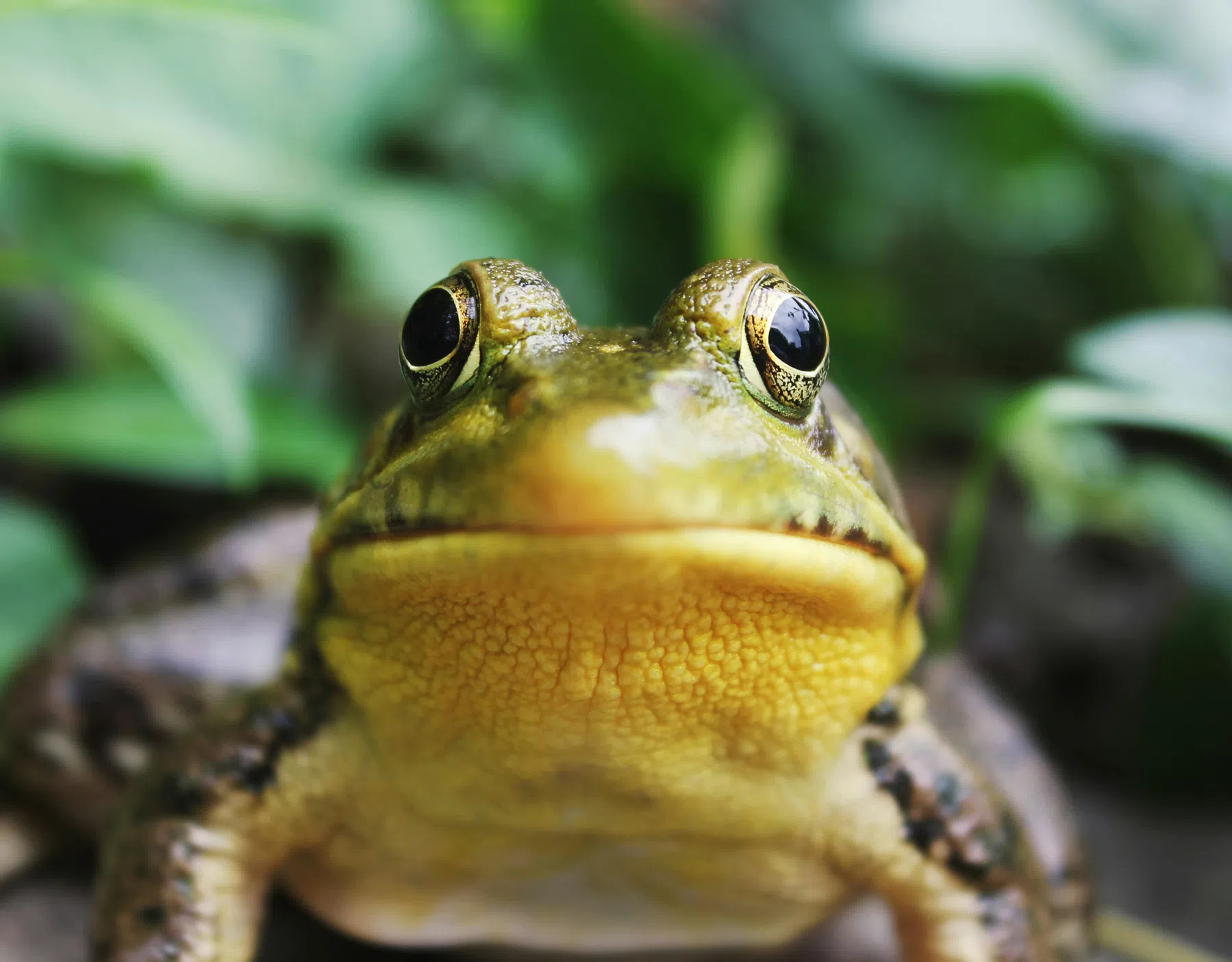 ©Unsplash