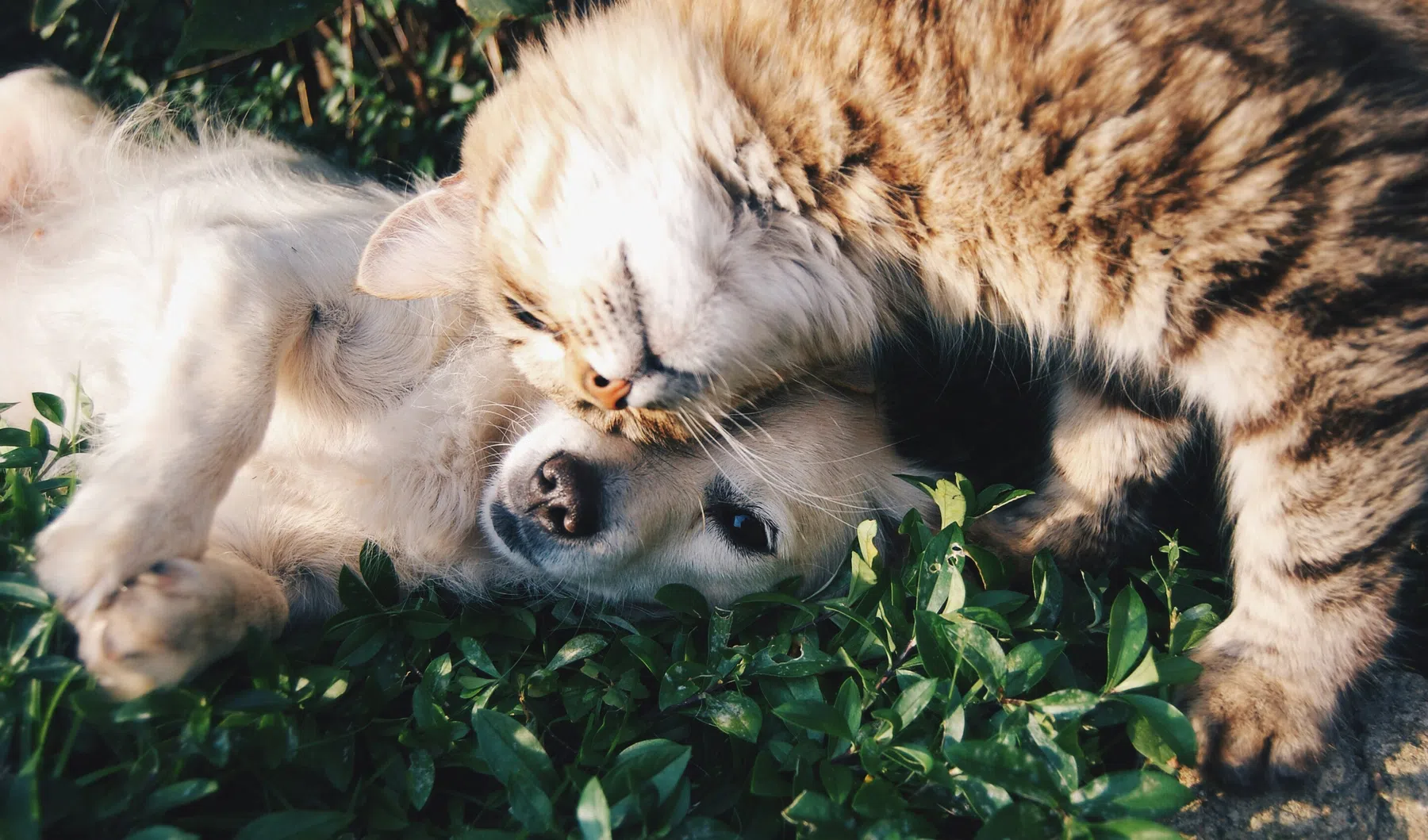 ©Unsplash