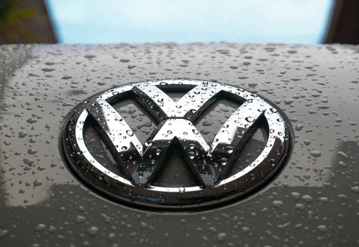 Volkswagen werft schapen voor zonnepark