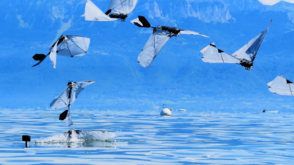 Deze robot doet iets wat geen enkele watervogel kan