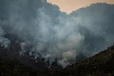 Thumbnail for article: Deze AI-drones gaan samen op jacht naar bosbranden