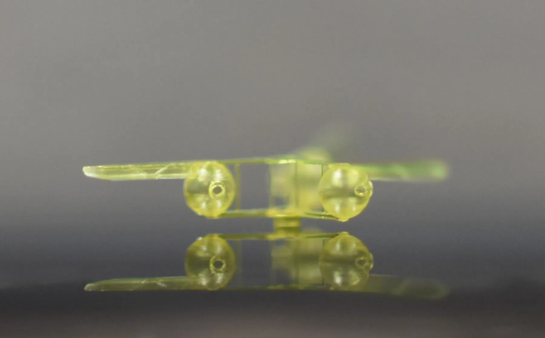 © 2026 EPFL/MICROBS - CC-BY-SA 4.0
