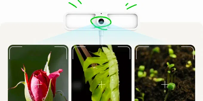 FernSnap vereenvoudigt het maken van planttimelapses