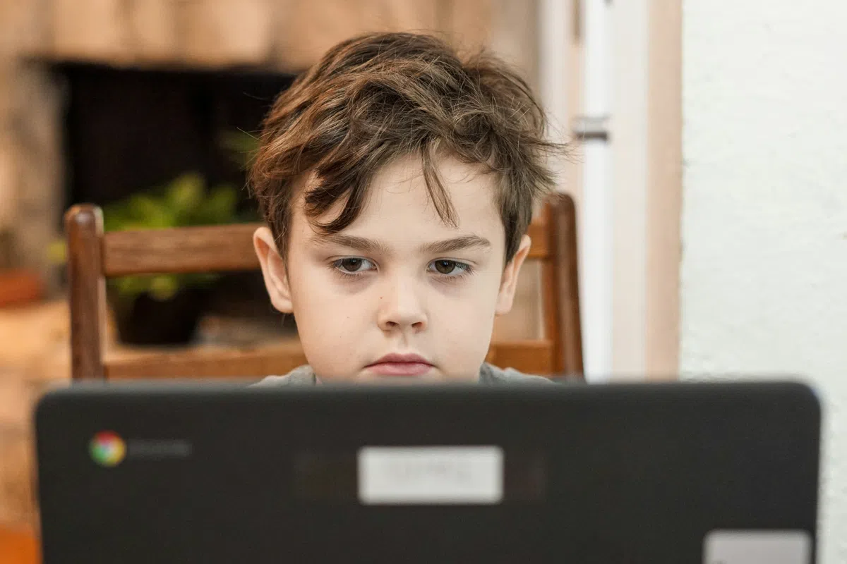 House of Representatives seeks AI ban for primary school students